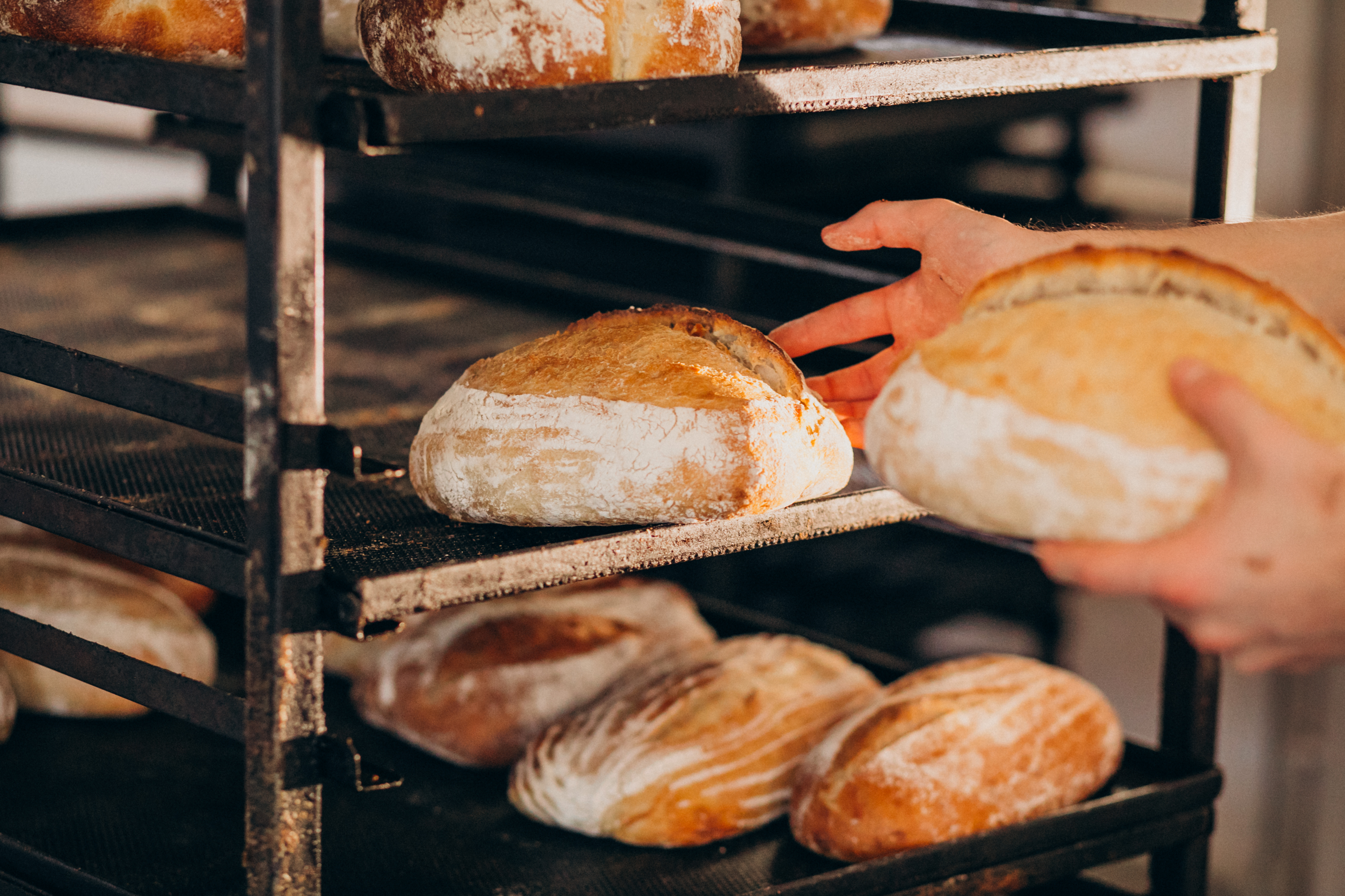 bread-baking-industry-tasty-pastry.jpg